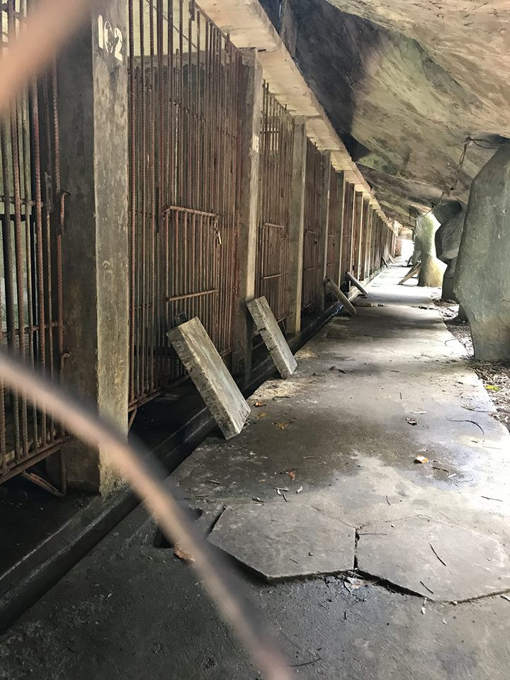 Khu chuồng nuôi gấu tại Công viên nước Củ Chi.