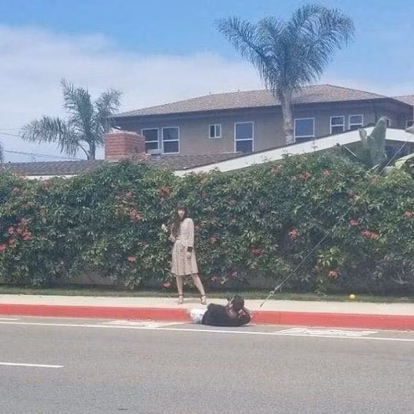”Có thể lấy hết ngôi nhà phía sau được không anh?”