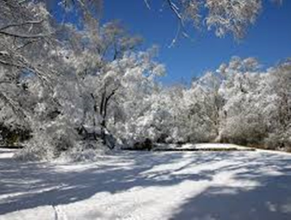 Cả một vùng rất nhiều tuyết chính là lý do mà “nhánh sông nhỏ” trở nên lớn hơn.