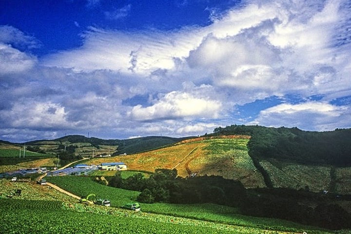 Gangneung ở tỉnh Gangwon là một trong những nơi thu hút du khách Hàn Quốc nhất.