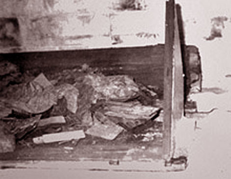 Quan tài Từ Hy Thái hậu bị phá nát.