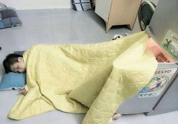 Thanh niên này có vẻ chịu chơi hơn khi mở toang cả tủ lạnh.