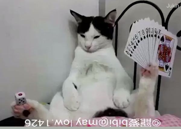 Và đây nữa. Mỗi chân giữ 1 loại cơ nhé.