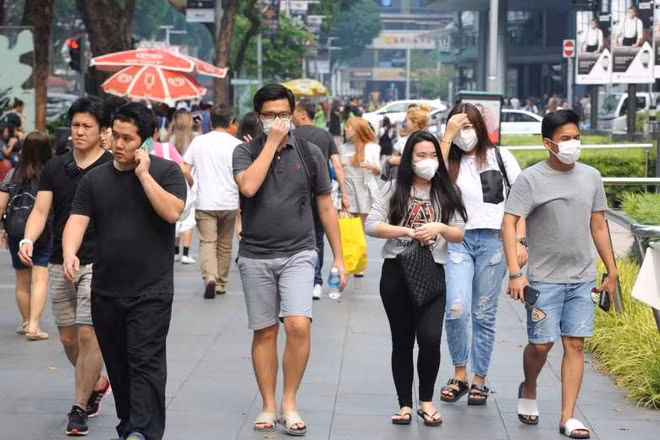 Nhiều cửa hàng y tế cháy hàng khẩu trang N95. Tuy nhiên, Bộ Y tế Singapore khuyến cáo loại khẩu trang này không thích hợp để phòng virus corona. Ảnh: Asia One.