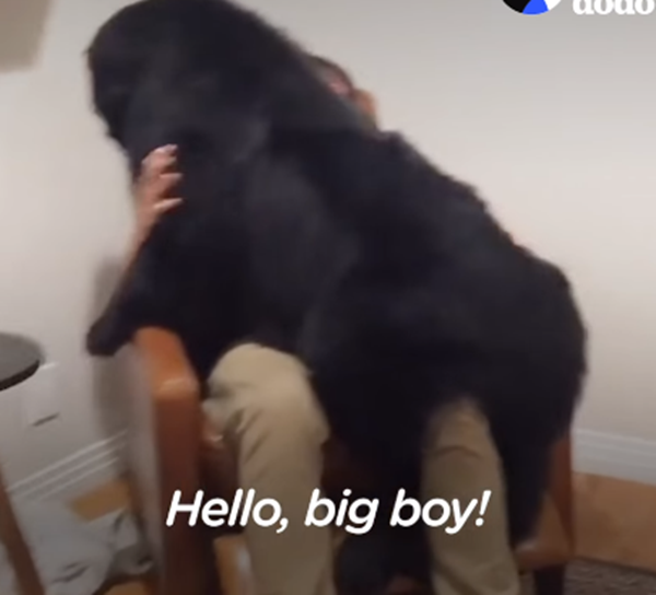 Khi ngồi cùng ghế với "papa".