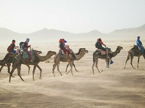 Cưỡi lạc đà là một trải nghiệm trên sa mạc. Ảnh: Steph Edwards.