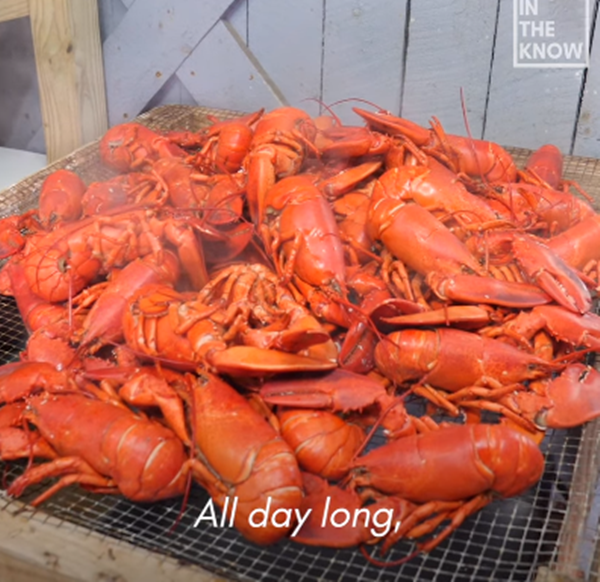 Ăn tôm hùm đất sẽ giúp bạn có một đôi mắt khỏe, bổ sung dưỡng chất cho hệ thần kinh, gan, tóc và da.