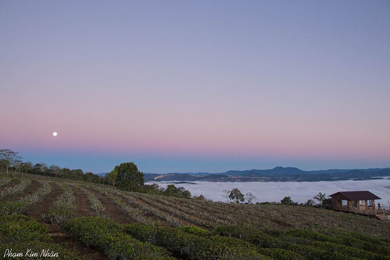 Ảnh: Phạm Kim Nhân