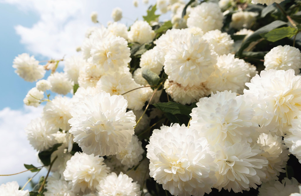 Ảnh: Somewhere Someone.