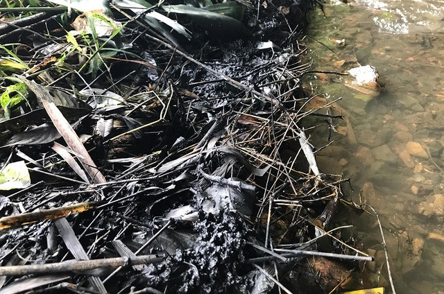 Hàng vạn người dân nội thành vẫn đang phải "nhịn" dùng nước máy, mua nước đóng chai về dùng trong thời gian chờ câu trả lời và hướng xử lý từ cơ quan chức năng.