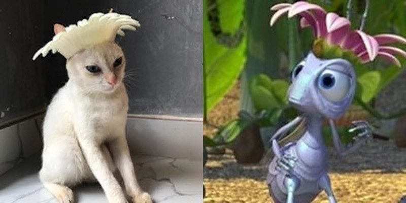 Boss cosplay nhân vật hoạt hình.