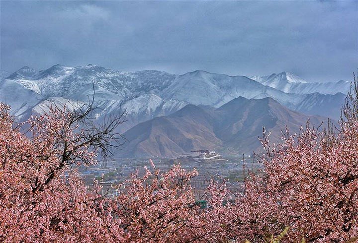 Nằm ở phía Tây Nam Trung Quốc, cao nguyên Thanh Hải bao phủ 25% diện tích đất đại lục, bao gồm toàn bộ khu tự trị Tây Tạng và tỉnh Thanh Hải, cùng một số khu vực thuộc tỉnh Tứ Xuyên, Vân Nam, Cam Túc và khu tự trị Tân Cương.