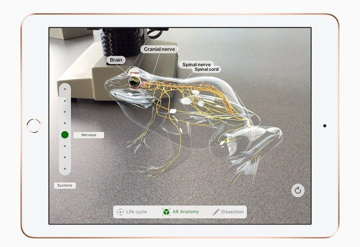 Viền màn hình được thu hẹp lại.