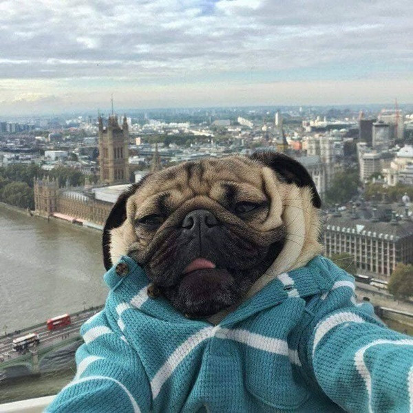 Nếu có selfie thì cũng phải phải cố gắng tạo dạng cho chất một chút.