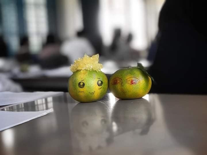 Đây là lúc mới yêu trước khi tiến đến cưới xin và... sinh nở nhé! (Ảnh: FB T.K)