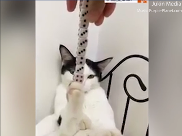 Một chân thôi nhé, "sen" xếp cho thẳng vào đấy.