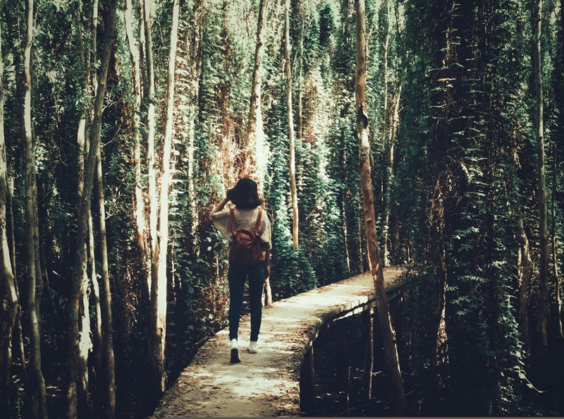 Tản bộ trên con đường ảo diệu. Ảnh: Hồ Quang Khôi.