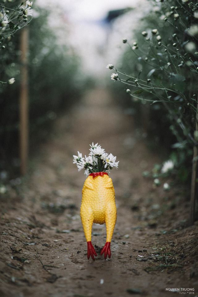 &quot;Anh nháy quá đáng lắm luôn á!&quot;