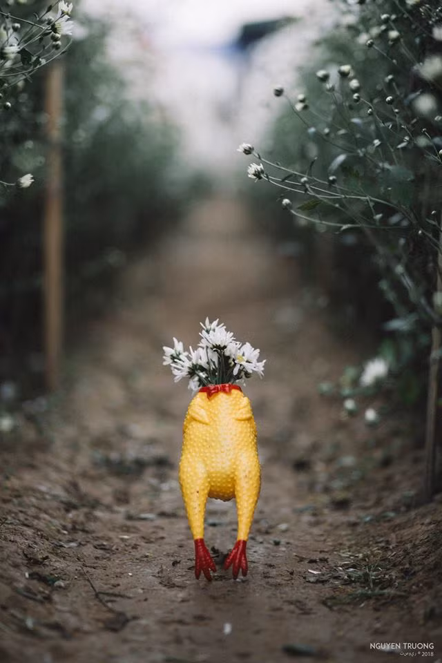 "Anh nháy quá đáng lắm luôn á!"