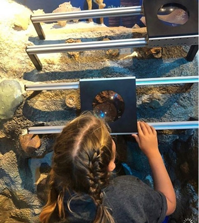 Nhờ thầy Freeman mà Ryan đã có một chuyến đi rất thú vị.