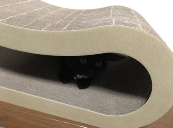 Địa điểm ẩn nấp lý tưởng