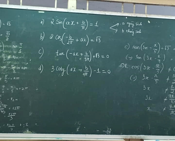 Ảnh: Nguyễn Ngọc Phương Trinh