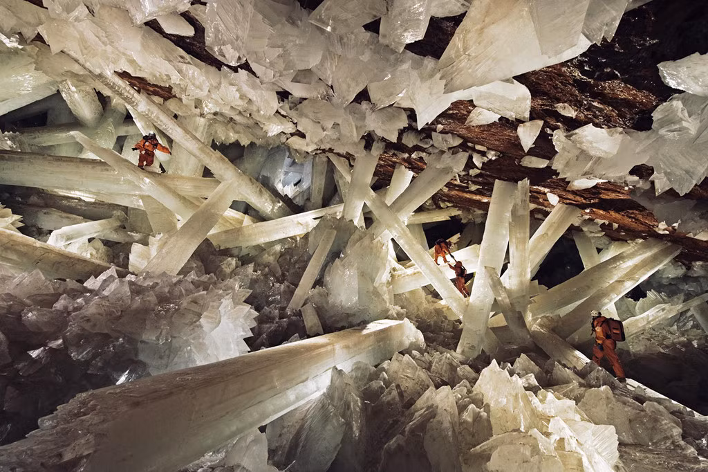 Ảnh: National Geographic.