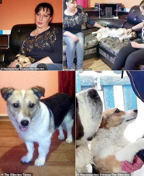 Rất may mắn, chú chó đã được giải cứu và nhận nuôi bởi một gia đình tốt bụng.