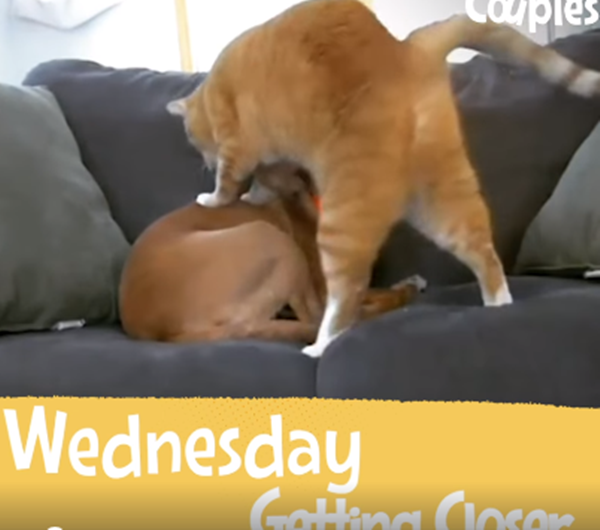 Áp sát mục tiêu