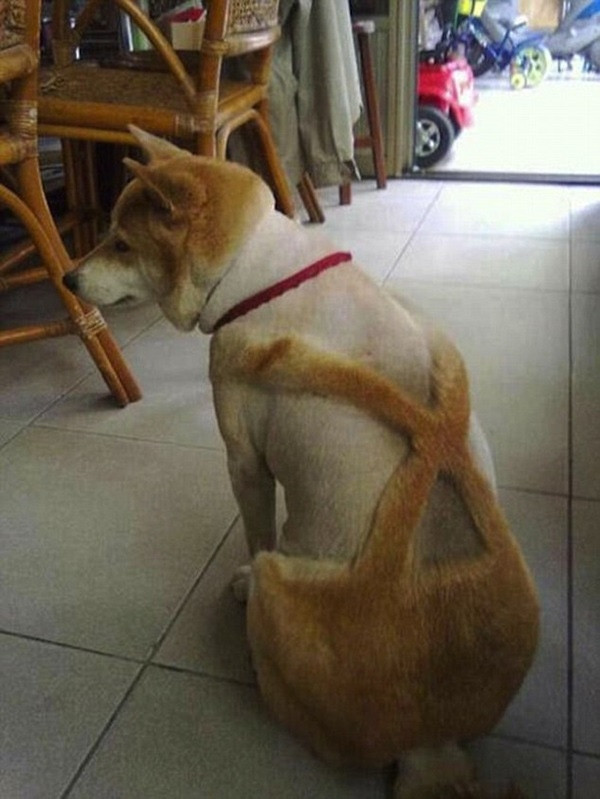 Mặc yếm luôn cho ngầu.