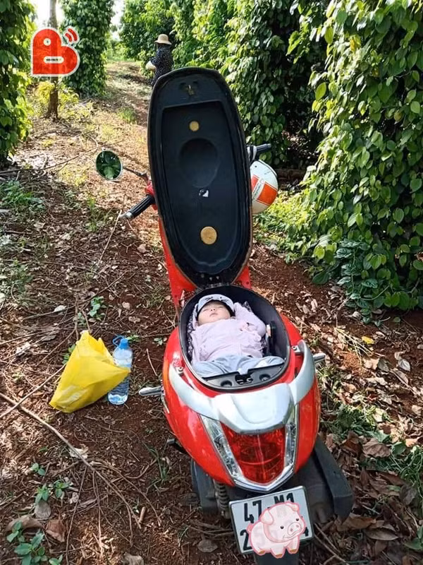 Em bé bụ bẫm, xinh xắn, nằm ngoan ngoãn trong cốp xe.