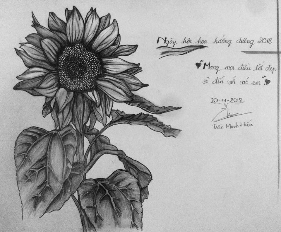 Tác phẩm của bạn Trần Minh Hiếu.
