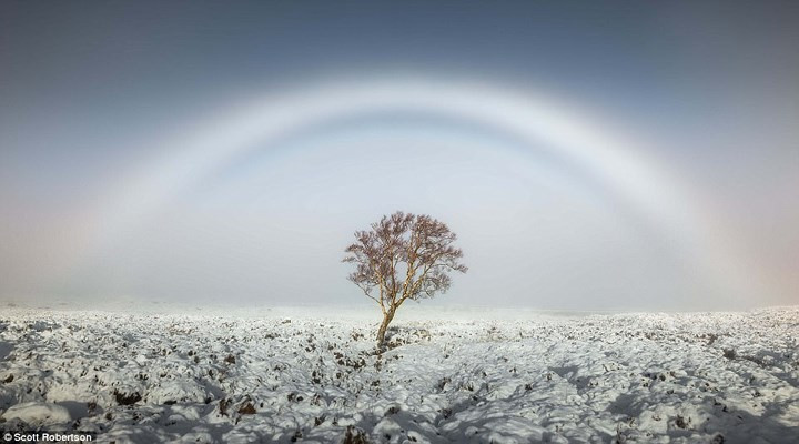 Bức ảnh “Cầu vồng sương” của nhiếp ảnh gia người Anh Scott Robertson chụp tại Rannoch Moor ở Scotland.