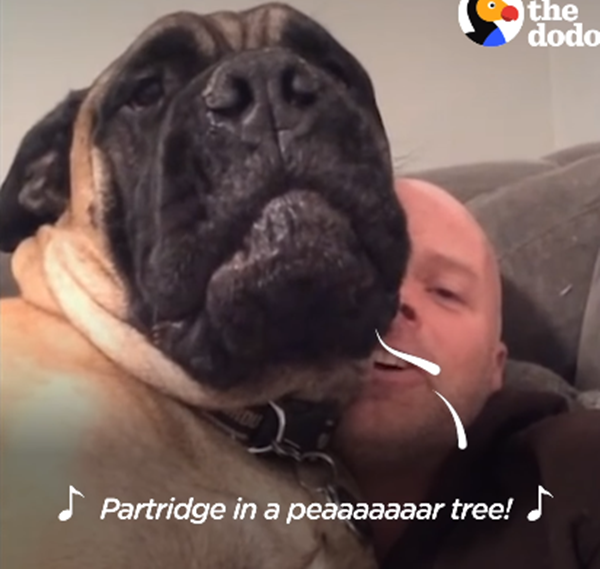 Yêu "papa" thì được nghe hát.