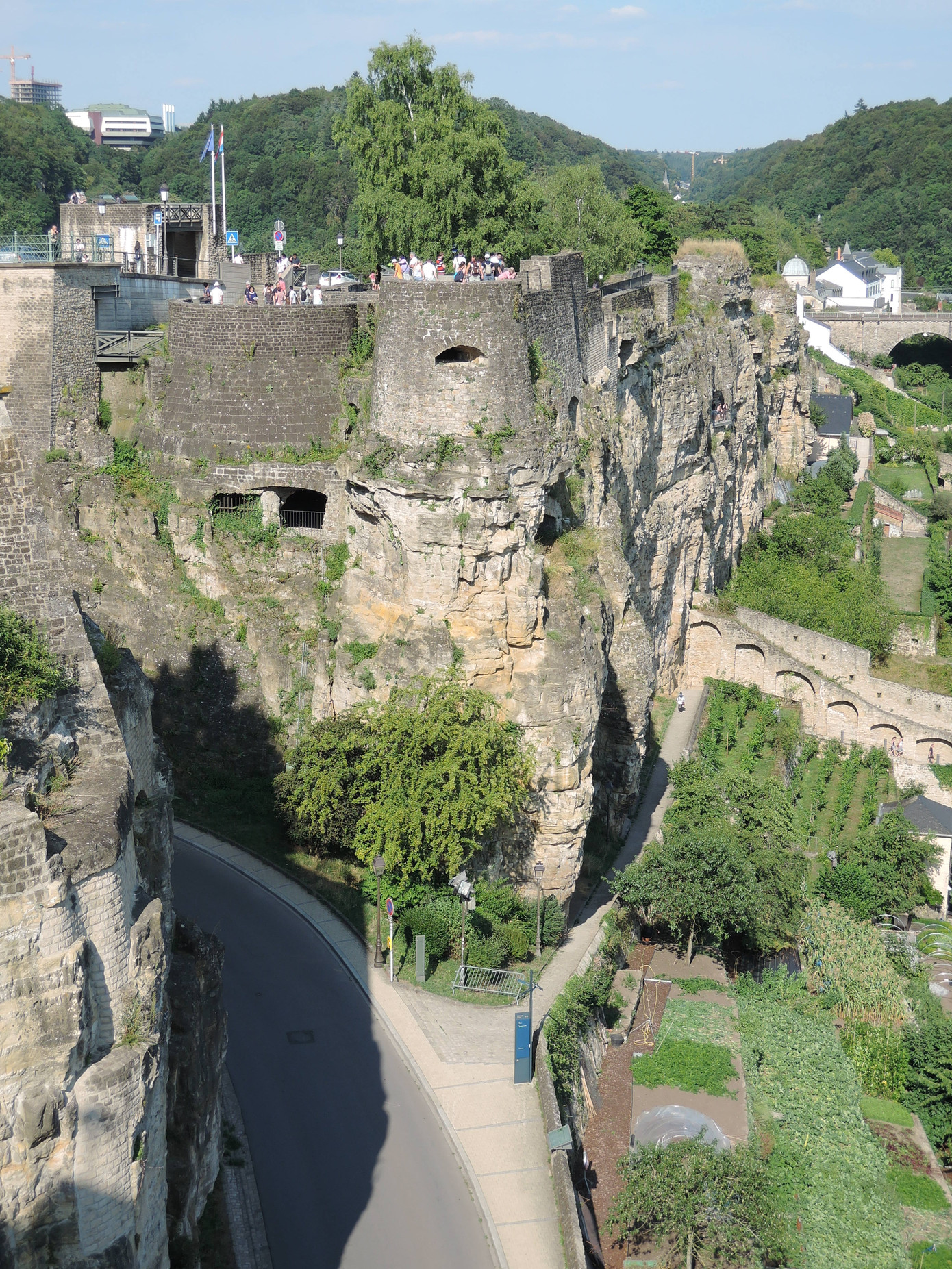 Màu xanh bao phủ khắp nơi