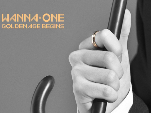 Wanna One xác nhận ngày trở lại, khiến fan trở thành thám tử chơi trò soi tay đoán người ảnh 7