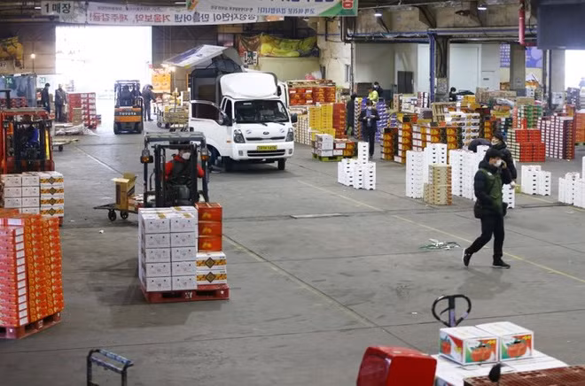 Việc khử trùng cũng được tiến hành tại một chợ bán buôn trái cây và nông sản ở Daegu. Ảnh: Yonhap.