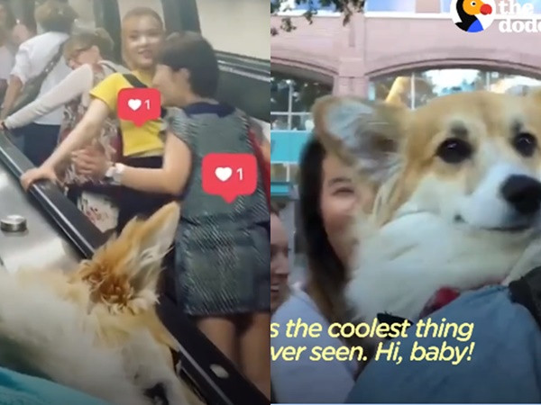 Cô bé luôn nhận được sự yêu mến của mọi người tại ga tàu điện ngầm.