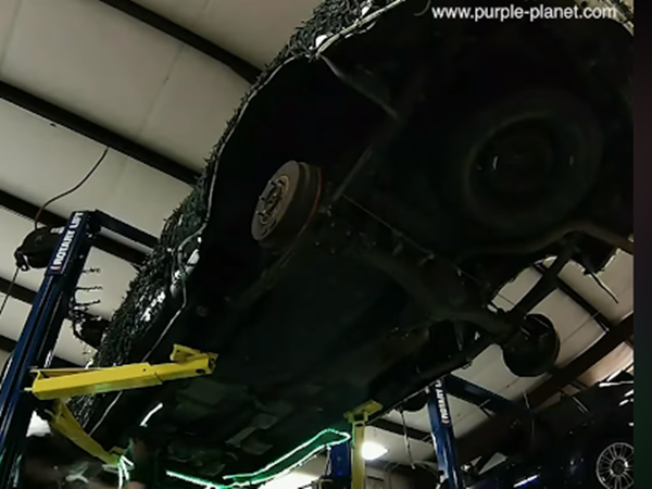 Cả phần gầm nữa.