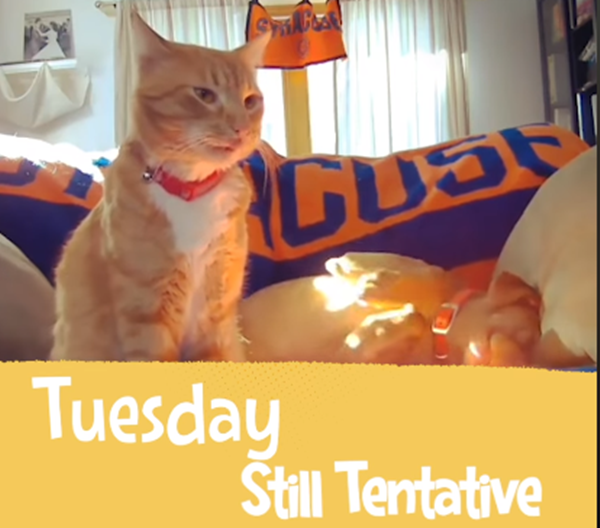 Còn hơi đắn đo