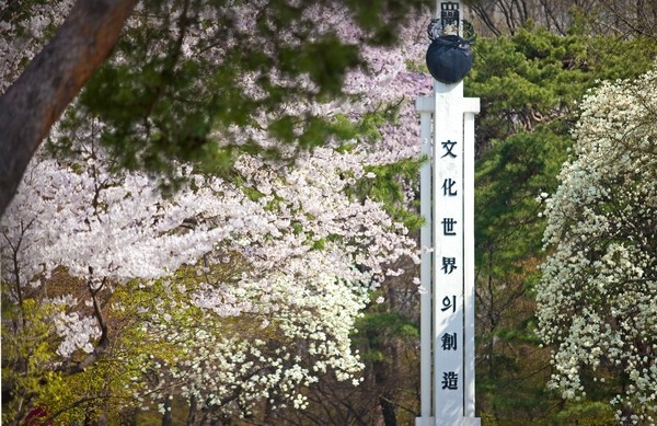 Khuôn viên trường rợp bóng cây và đẹp như tranh vẽ mỗi lần đến mùa hoa nở.