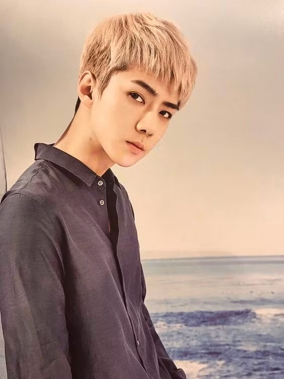 Những câu nói chạm tới trái tim của các thành viên EXO khiến EXO-L nhớ mãi ảnh 10