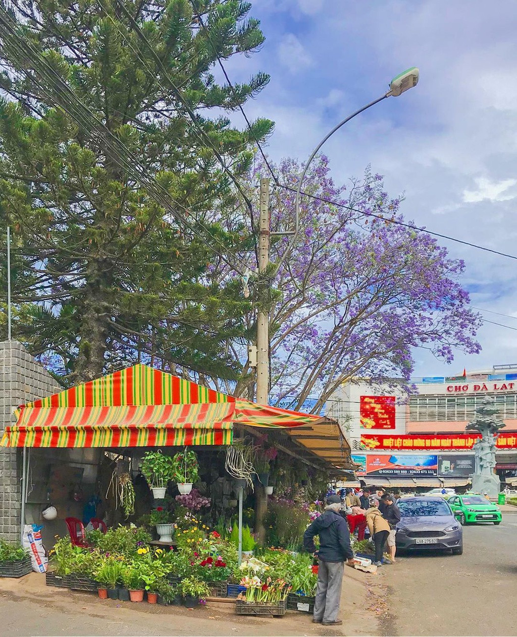 Ảnh: Kennytaste, Bphuong3090, Nvwamderlust, Thanh.han.