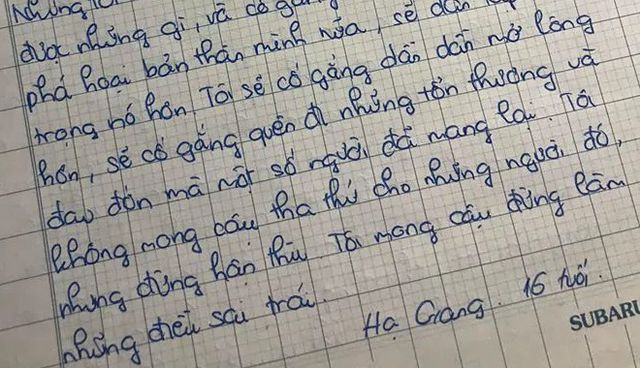 Tôi không mong cậu tha thứ cho những người làm cậu đau đớn, tổn thương nhưng đừng hận thù - em Hạ Giang viết thư cho mình trong tương lai.