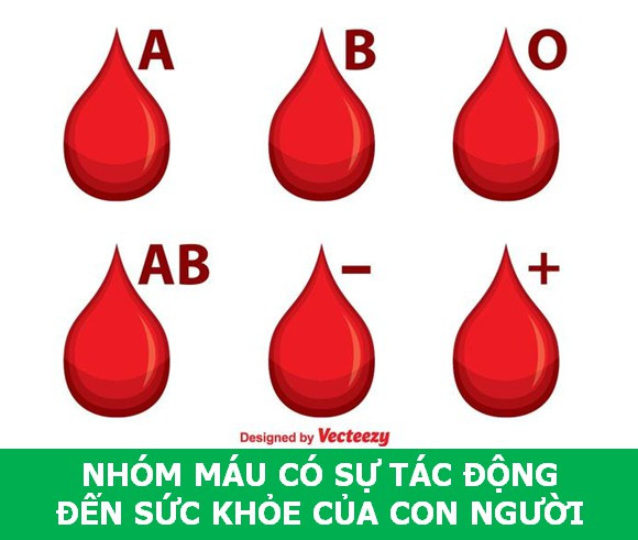 Những sự thật sẽ về máu người sẽ khiến bạn phải ngỡ ngàng! ảnh 5