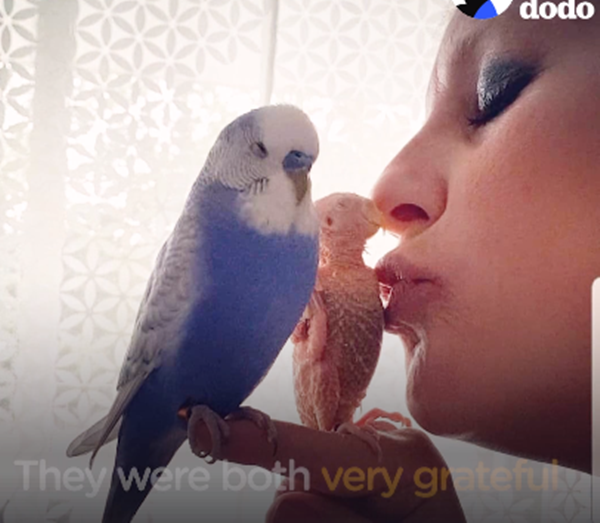 Tình yêu quả có sức mạnh vô cùng to lớn.