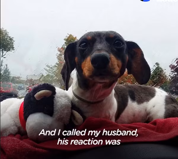 Đây chính là "người" hàng đêm được ngủ trong cái cũi đấy đây.