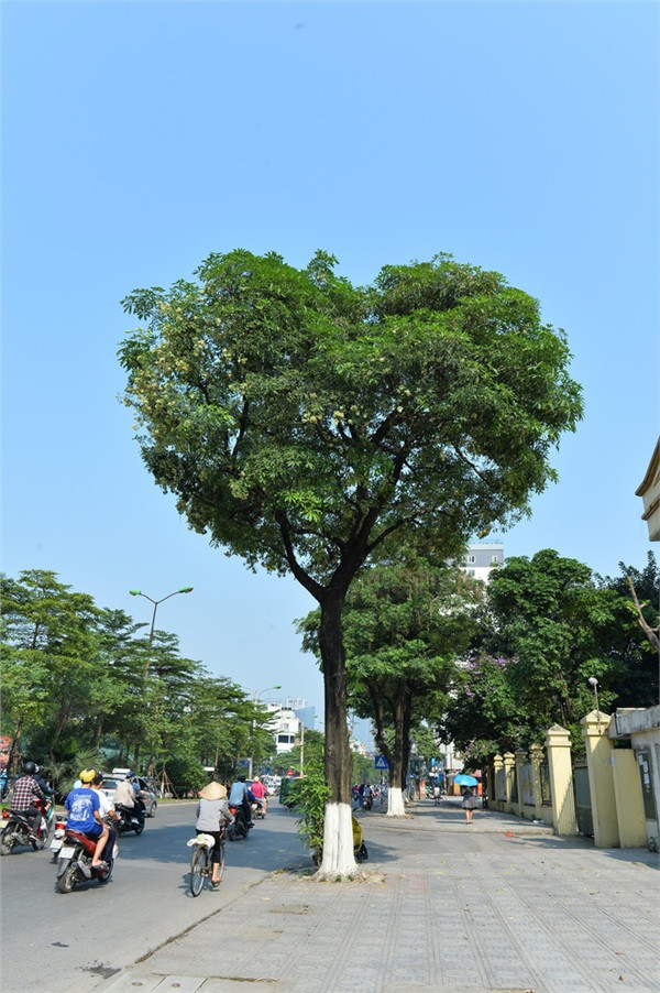 Bức ảnh gốc được anh Giang chia sẻ.