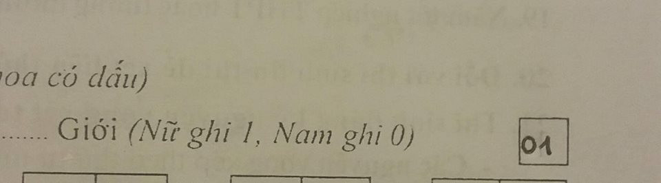 Hồ sơ dự thi là phải ghi đúng sự thật. Hồ sơ dự thi là phải ghi đúng sự thật.