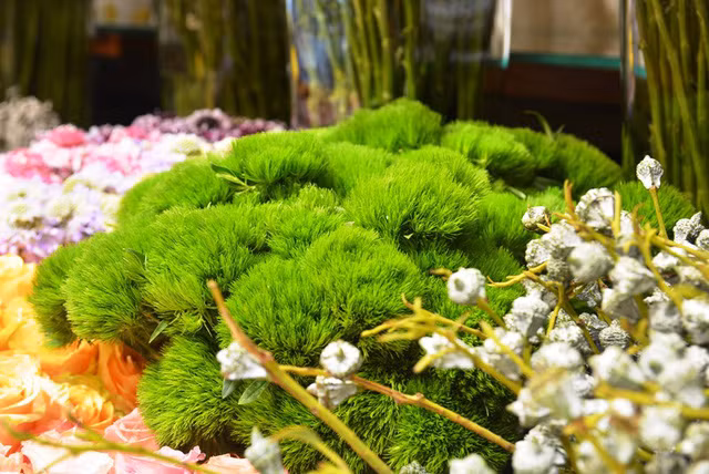 Hoa Green Wicky mới lạ cho mùa lễ 20/10 năm nay.